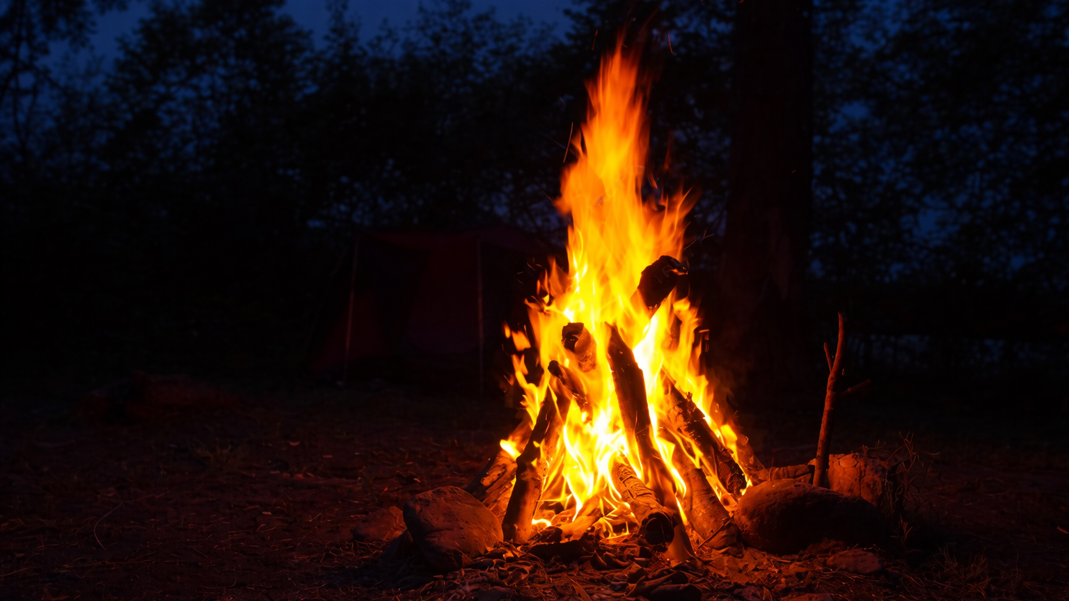 Campfire Moments Under Stars