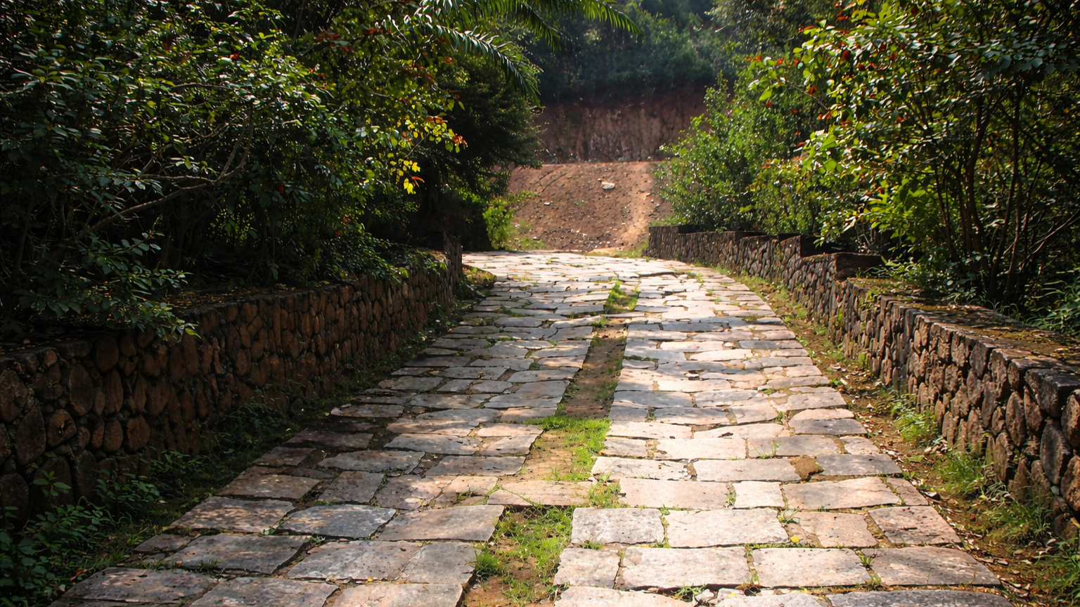 Estate pathway through forest