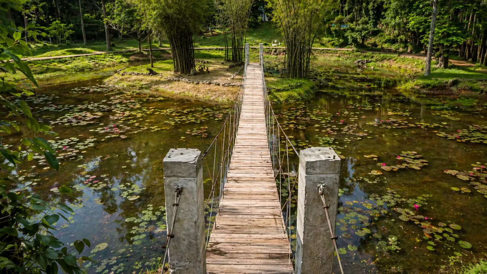 Quiet walkway through water.