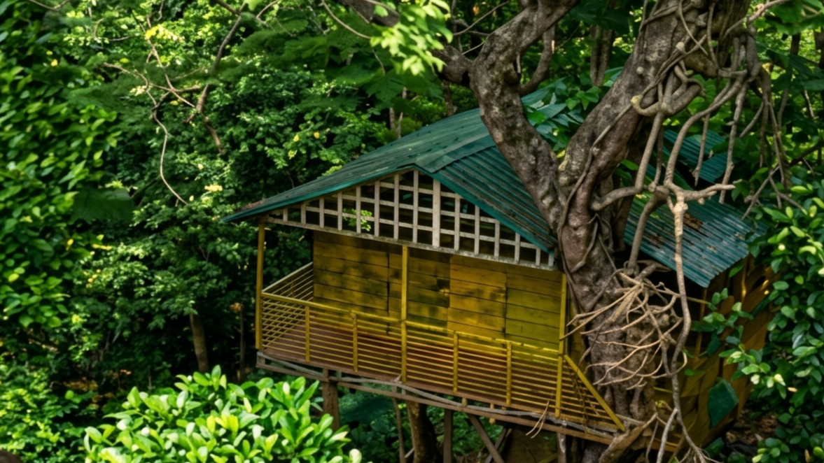 Tree House ccr10